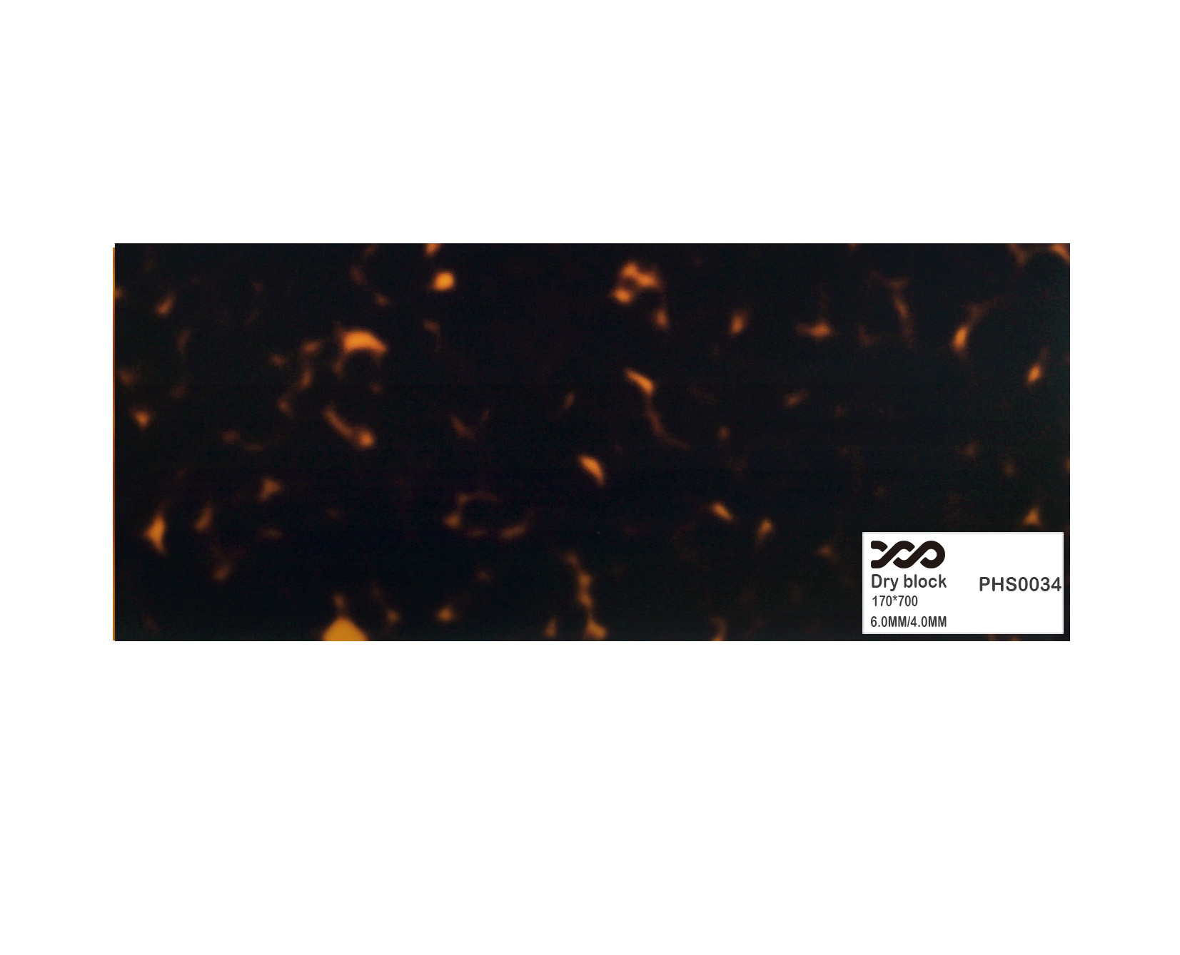 PHS0034
